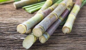 Policosanoli e colesterolo