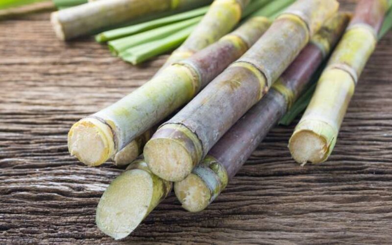 Policosanoli e colesterolo